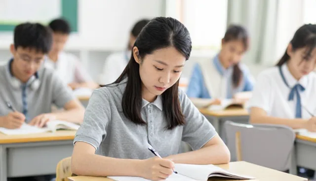 学习规划中考试辅导的检查要点与适用条件